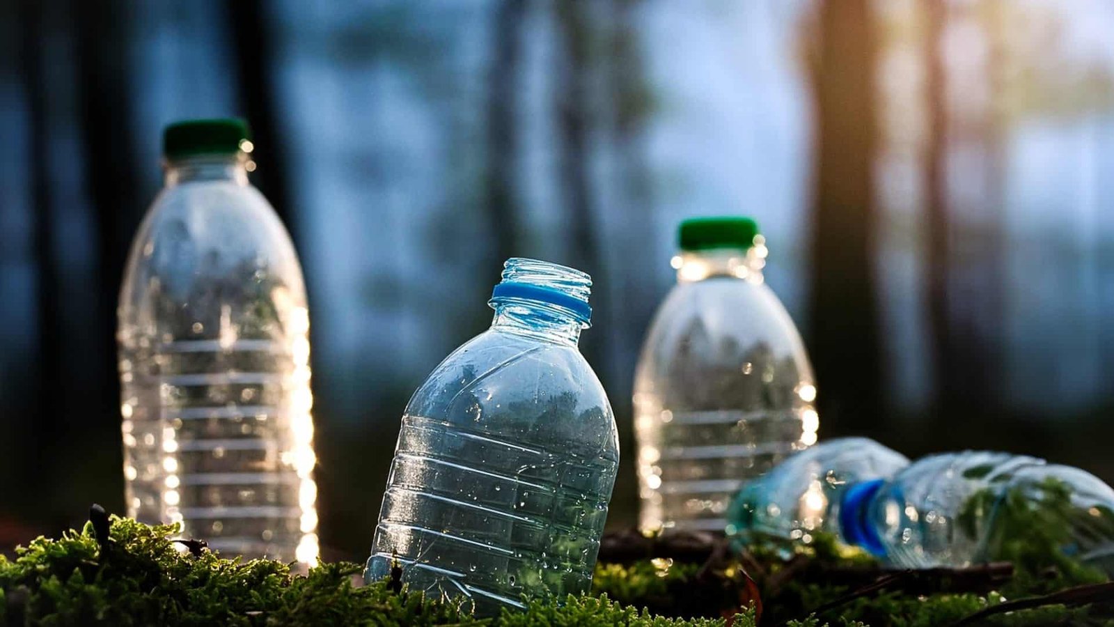 plastic bottles, recycling