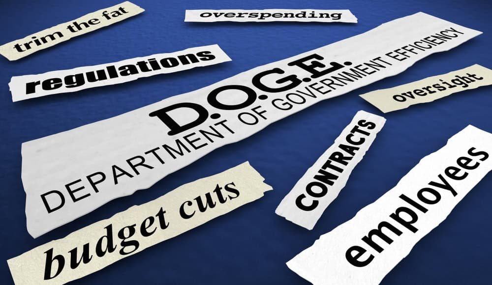 The image shows DOGE information.