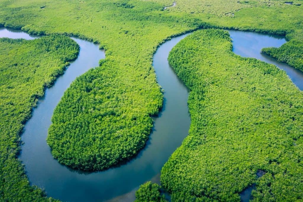 Amazon Rainforest and a river crossing —the