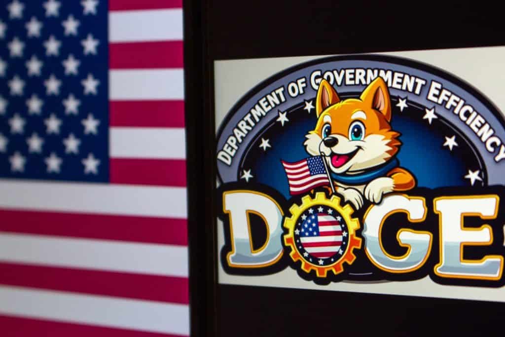 DOGE logo on the right; To the left, the flag of the United States