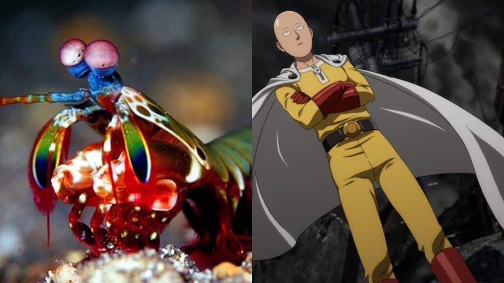 Shrimp-Louva-God and a punch man
