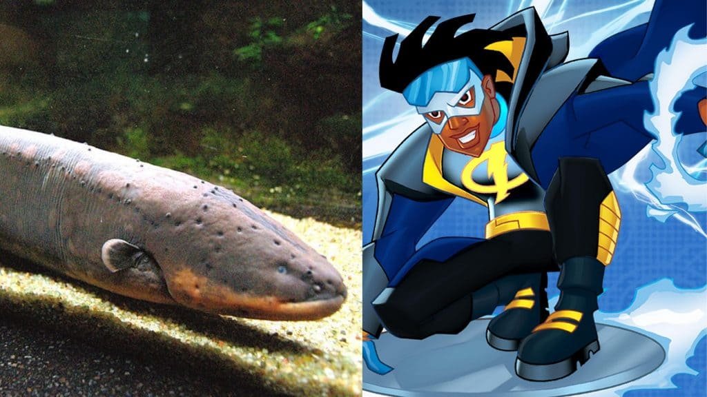 Poraquê and Super Shock