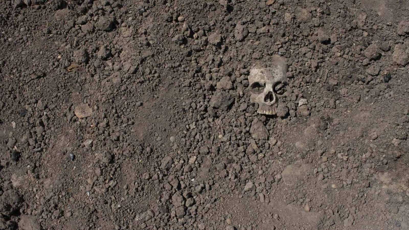 Cranio-ekeleton-1-1920x1080