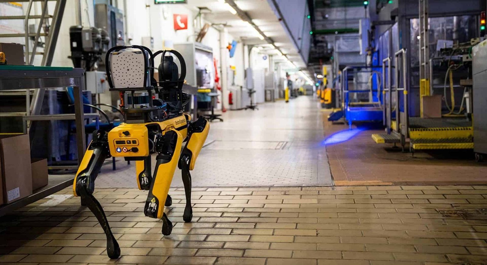 Bevere-Food-Bevere-1-1920x1046