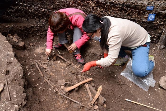 Chinese researchers excavating