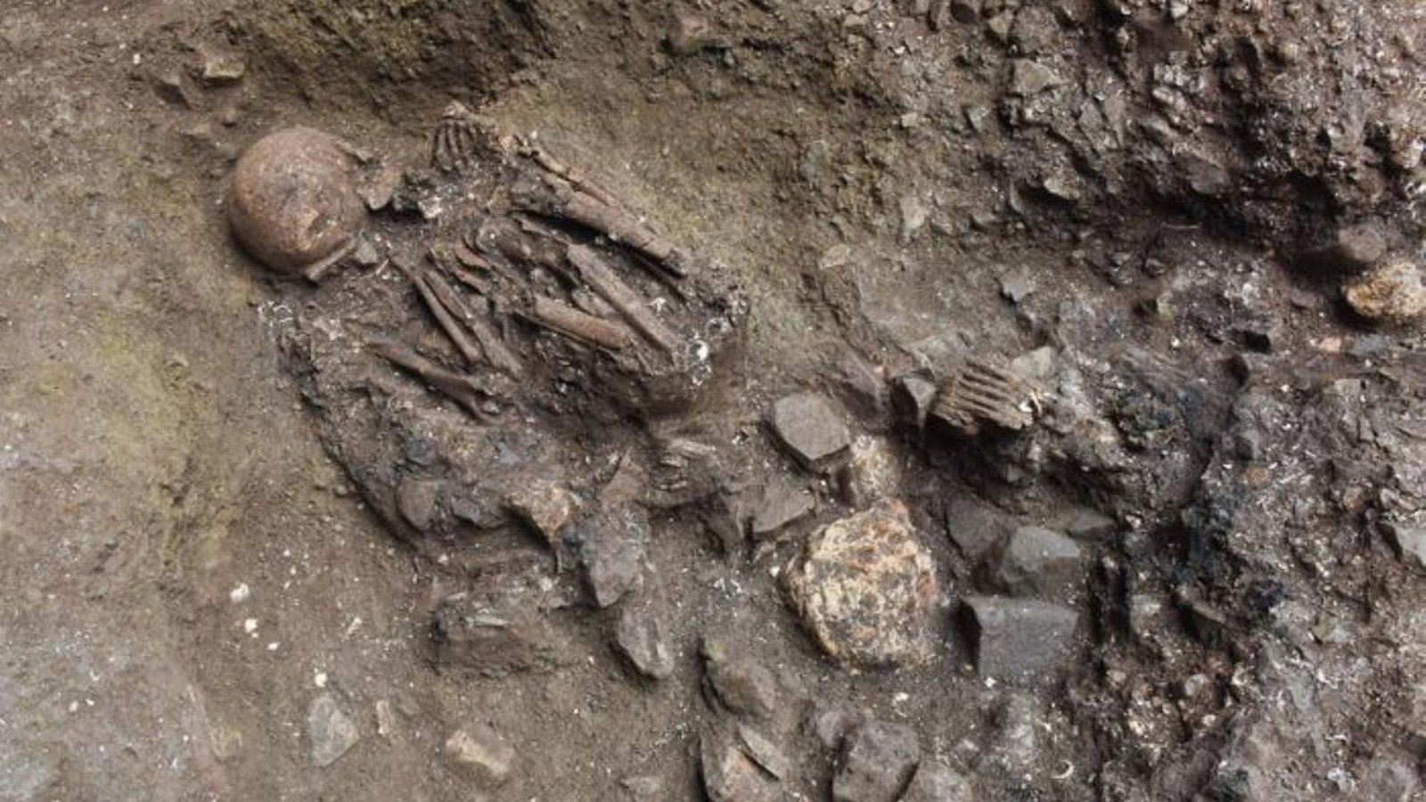 Xingyi_en bone found in Yunnan, China