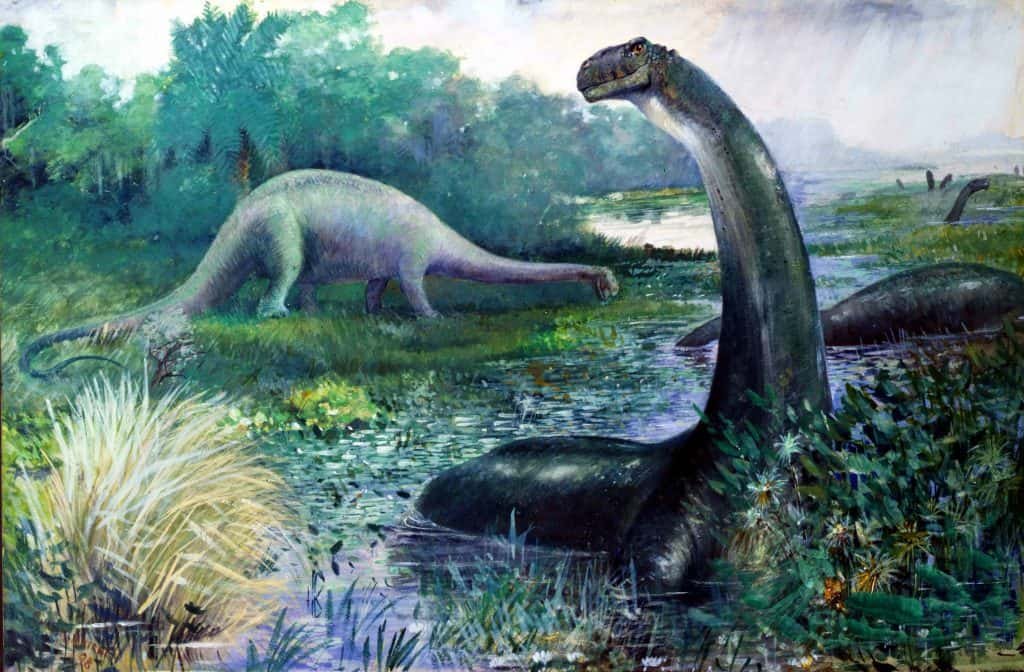 Brontosauro illustration