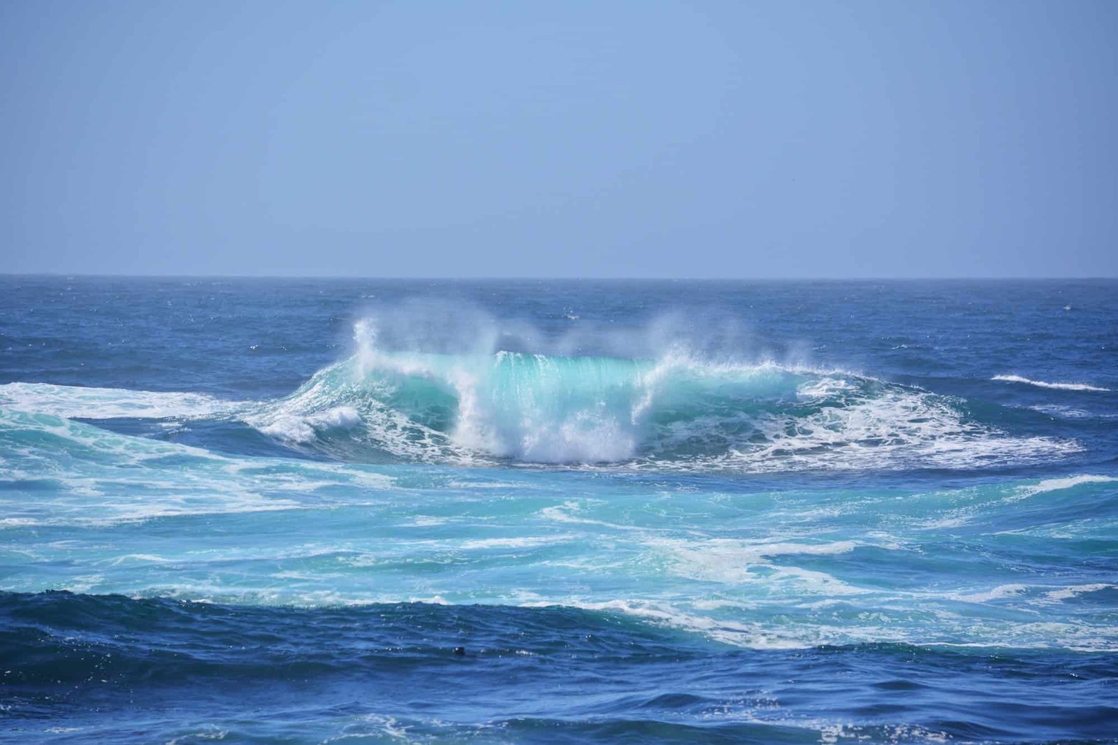 The phenomenon that killed millions of animals in the Pacific could return